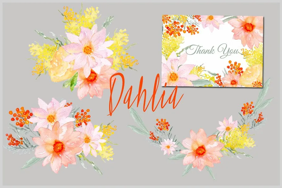 粉红色和橙色天竺牡丹水彩画素材 Pink & orange Dahlia Watercolors插图(2)