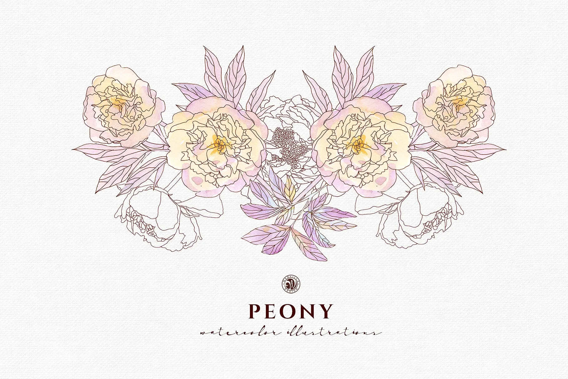 淡雅牡丹花手绘水粉画插画 Peony Flowers插图(7)