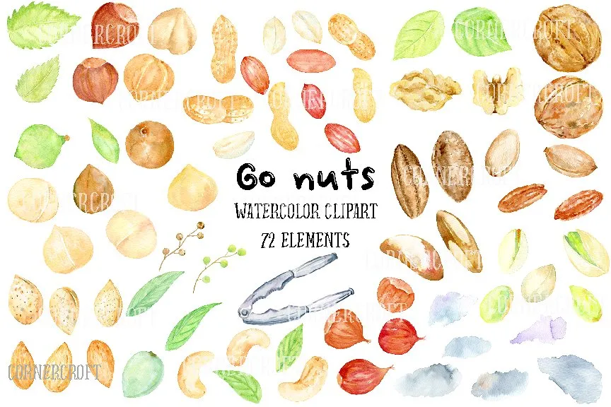 手绘卡通化水彩坚果插图 Watercolor Nuts Illustration插图(1)