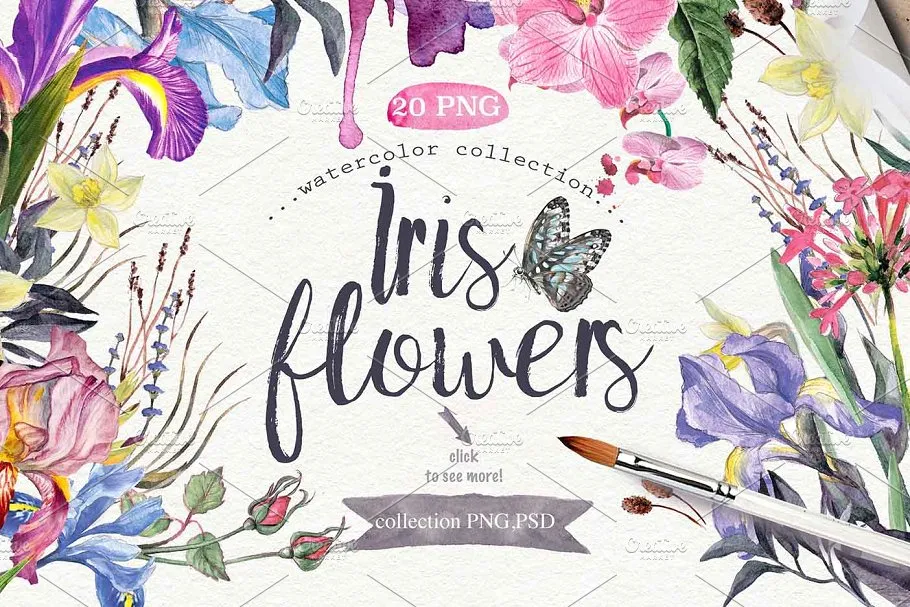 极力推荐：超级水彩元素设计素材包[2.5GB] Wildflowers pack 75 PNG插图(3)