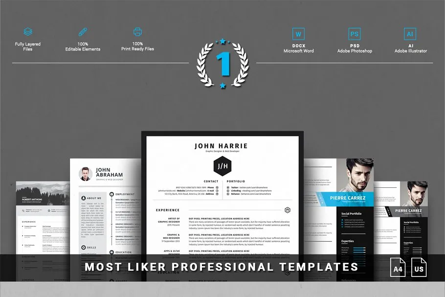 终极简历模板大合集（15款创意简历+3款信息图表模板） Entire Shop Resume/CV Mega Bundle插图(2)