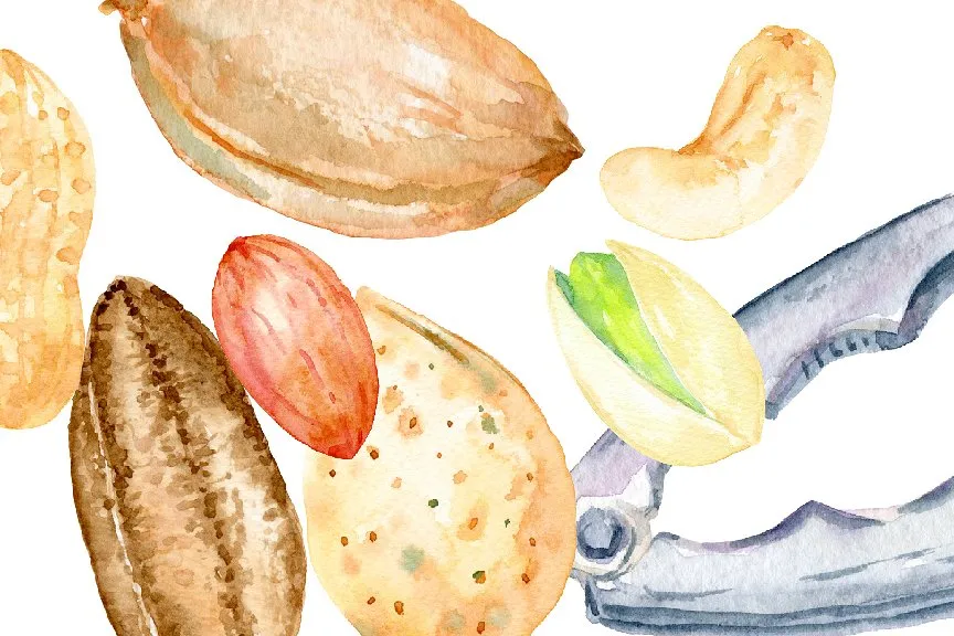 手绘卡通化水彩坚果插图 Watercolor Nuts Illustration插图(3)