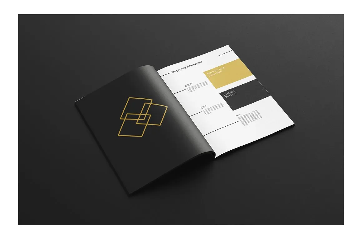 黑白极简主义现代品牌手册插图(8)