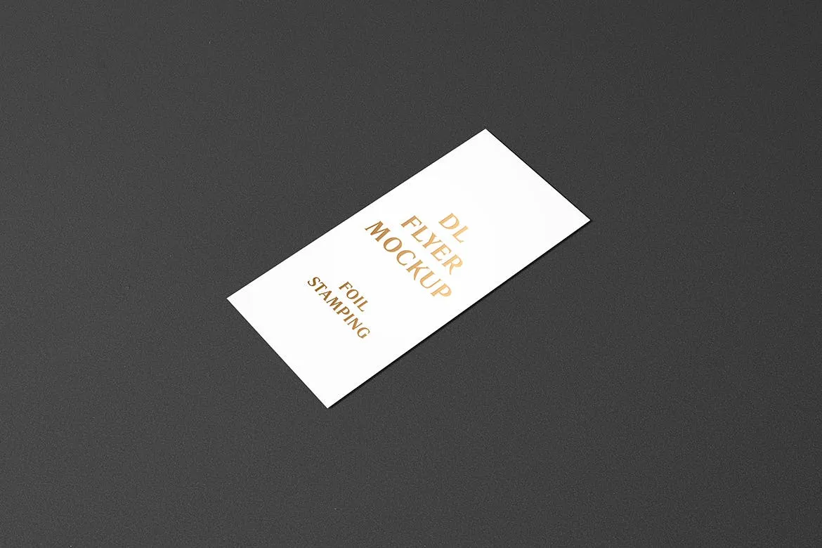 高端逼真质感得DL传单名片铝箔冲压特殊工艺VI样机展示模型mockups插图(8)