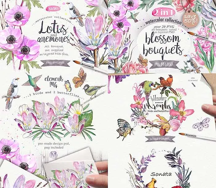 极力推荐：超级水彩元素设计素材包[2.5GB] Wildflowers pack 75 PNG插图(15)