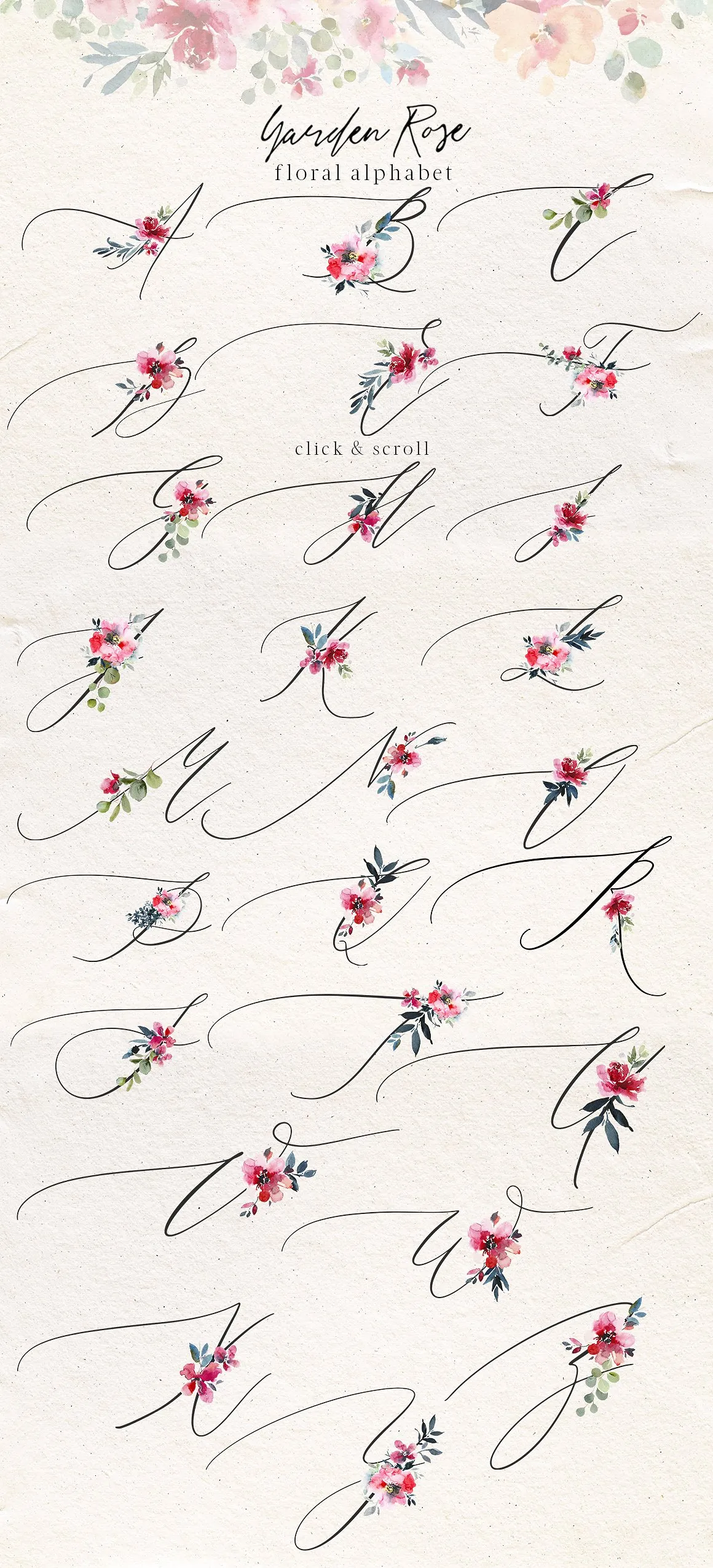 花园玫瑰水彩花卉套装 Garden Rose Watercolor Floral Kit插图(5)