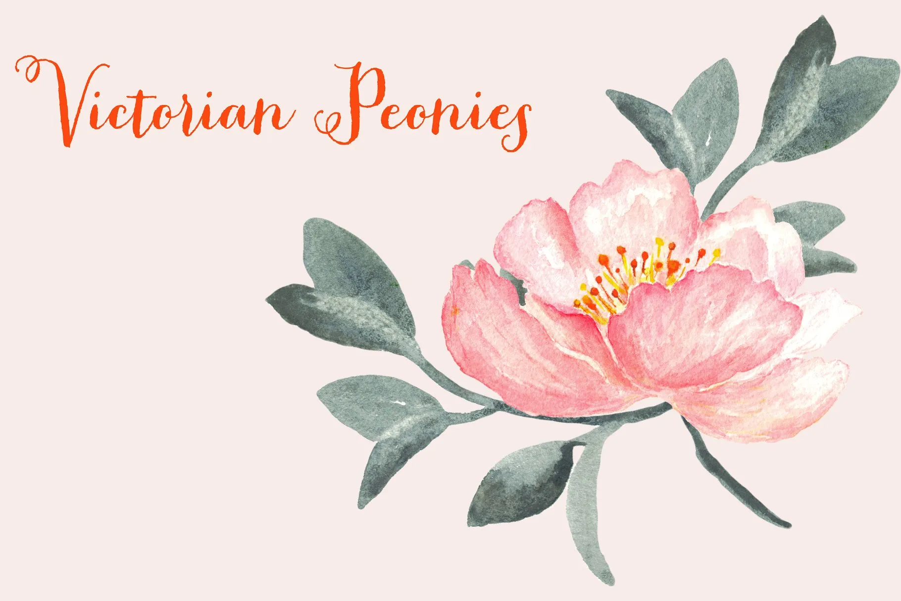 维多利亚时代水彩艺术牡丹剪贴画素材 Peony Victorian Watercolor Clipart