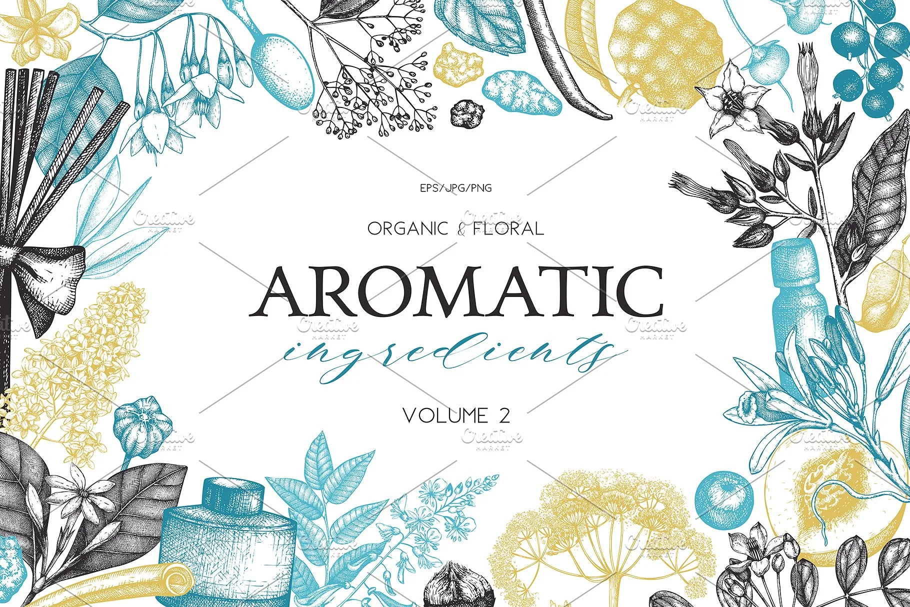 香料和化妆品成分水墨手绘插图集V.2 Perfumeryamp; Cosmetic Ingredients v.2