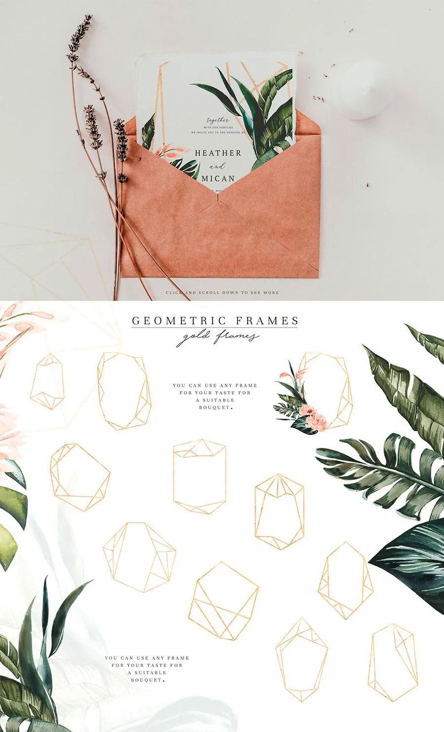 热带植物水彩手绘图案设计素材套装 Tropics & Coral Watercolor Set插图(5)