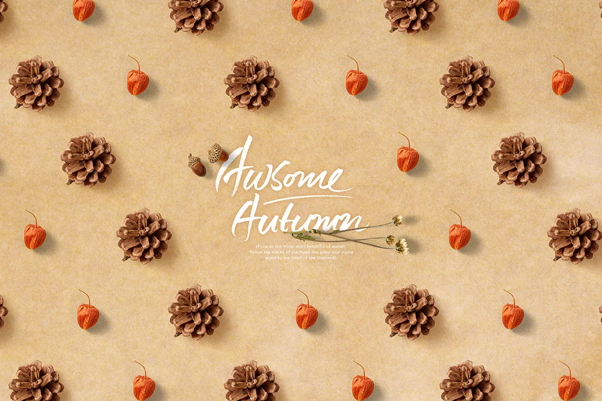 松果amp;灯笼果海报背景图片psd素材