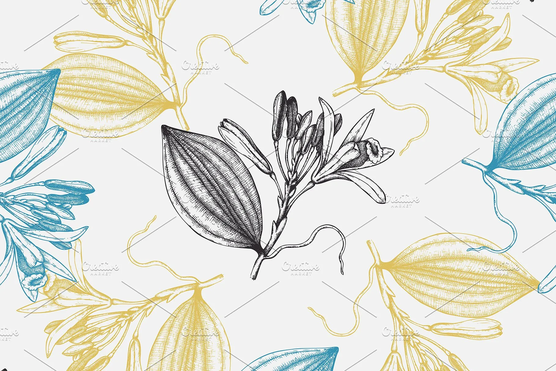 香料和化妆品成分水墨手绘插图集V.2 Perfumery & Cosmetic Ingredients v.2插图(9)