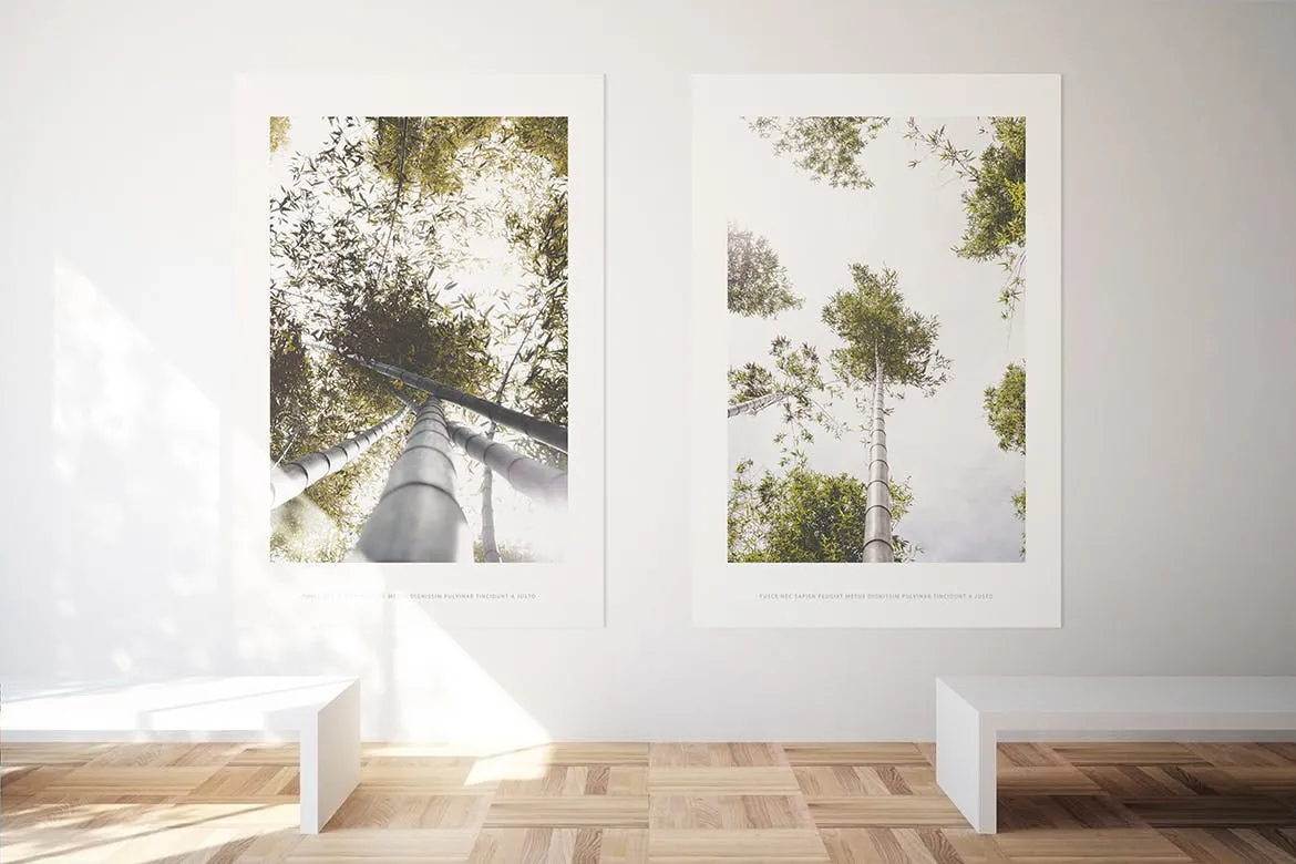 居家大厅大幅画框相框样机素材库精选模板 Poster Mockup插图(1)