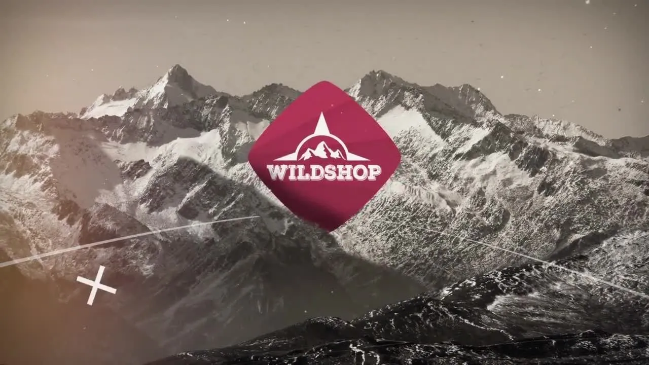 商业广告照片徽标显示像素设计精选AE模板