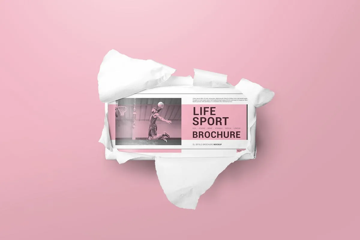 双折页DL宣传册样机模板 DL Bifold Brochure Mockups插图