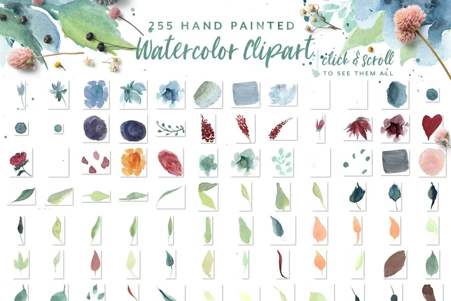 手写英文字体&手绘水彩花卉剪贴画 Loving Saskia Font & Graphics Bundle插图(8)