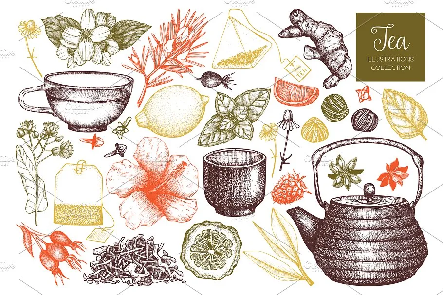 各种茶成分茶元素矢量 Vector Tea Ingredients Collection插图(1)