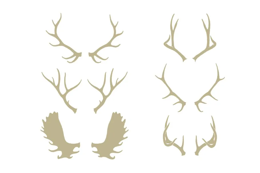 复古设计风格品牌Logo设计模板合集 Expedition Vintage Logo Bundle插图(3)