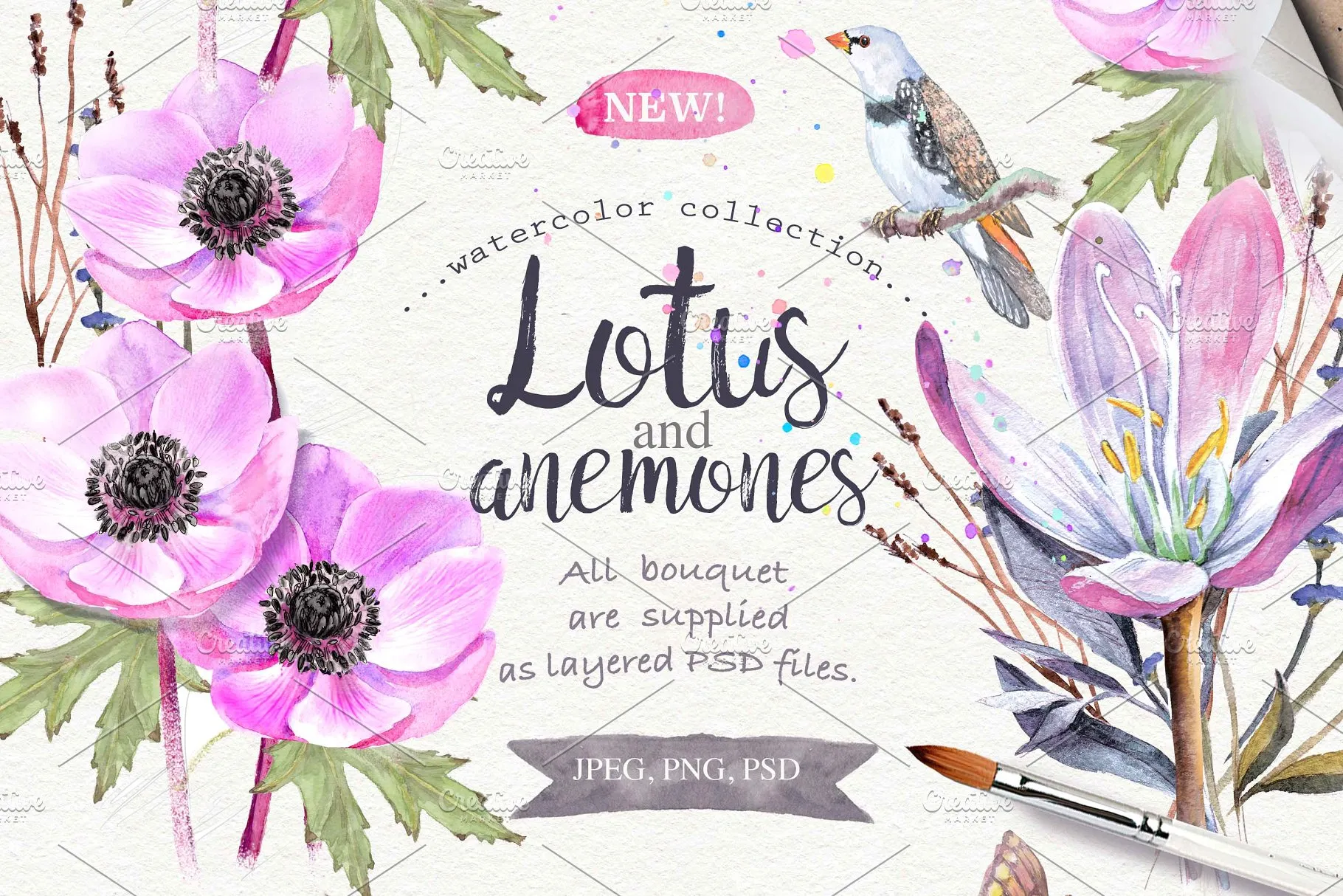 极力推荐：超级水彩元素设计素材包[2.5GB] Wildflowers pack 75 PNG插图(1)