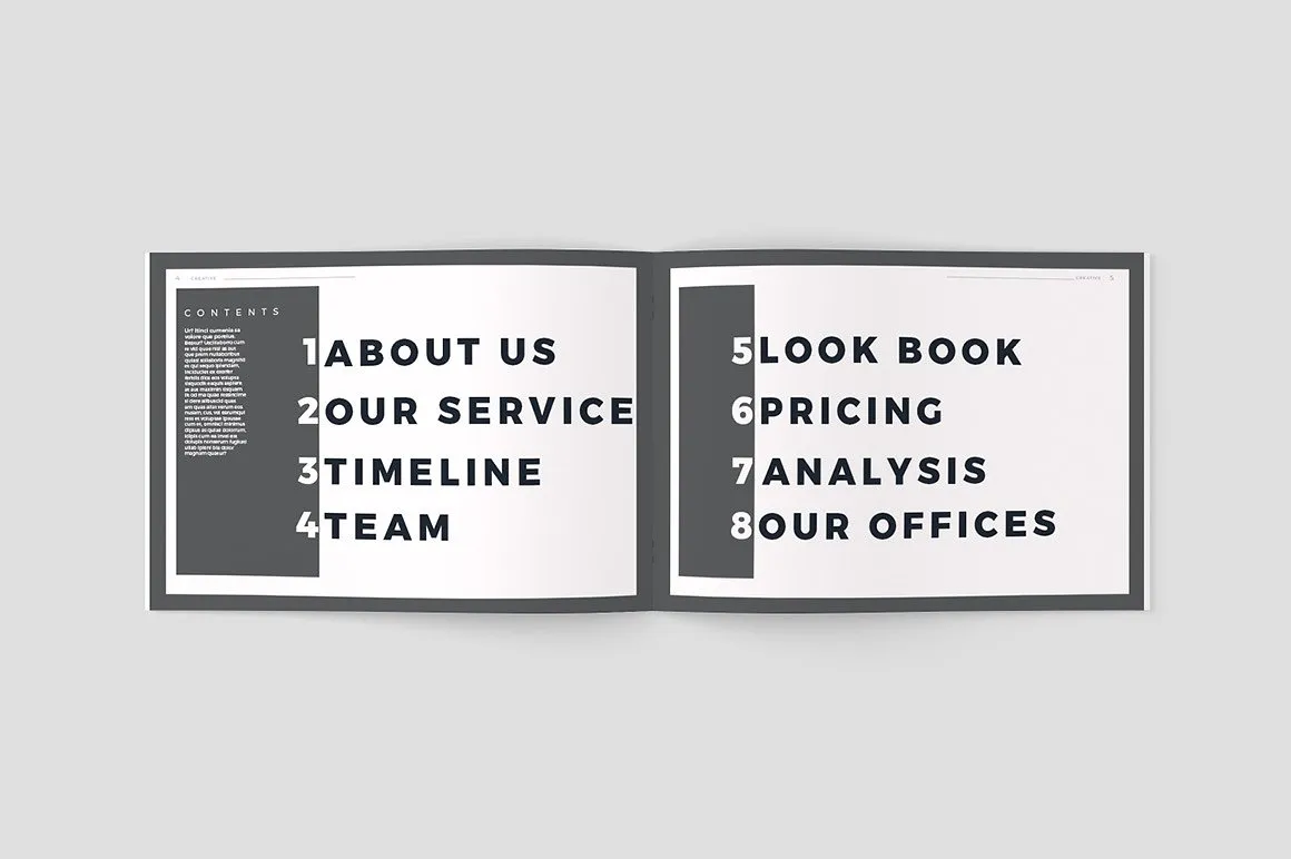 创意极简的黑白色调杂志手册模板下载[indd]插图(2)