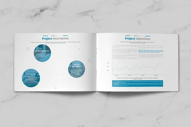 企业项目建议书/提案设计INDD模板 Project Proposal插图(9)