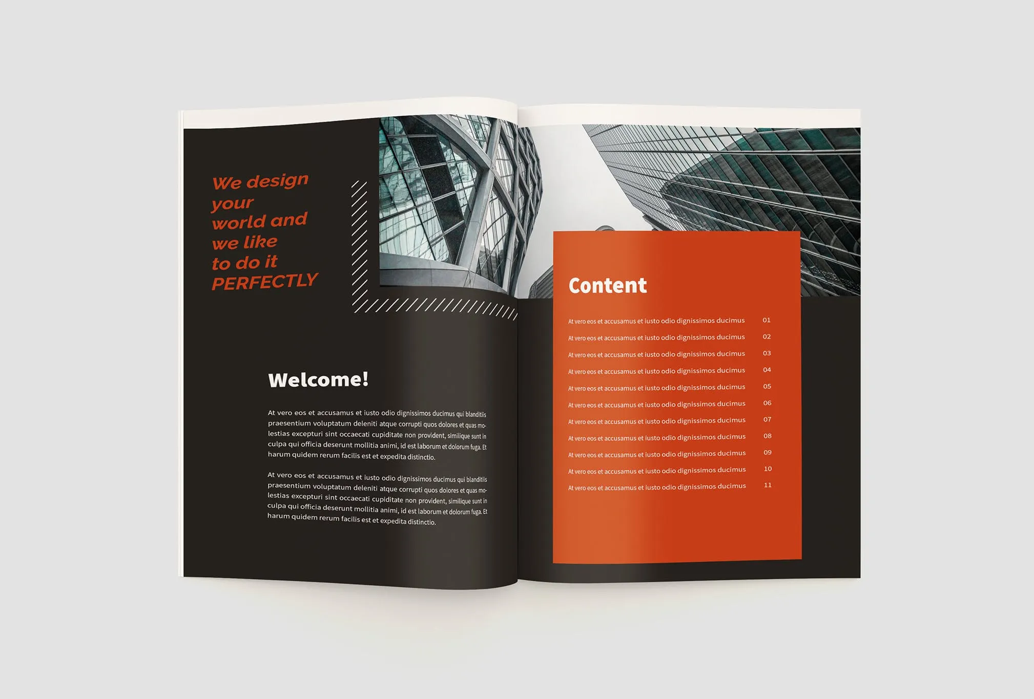 项目商业计划书/项目提案设计模板 The Project Company Profile插图(3)