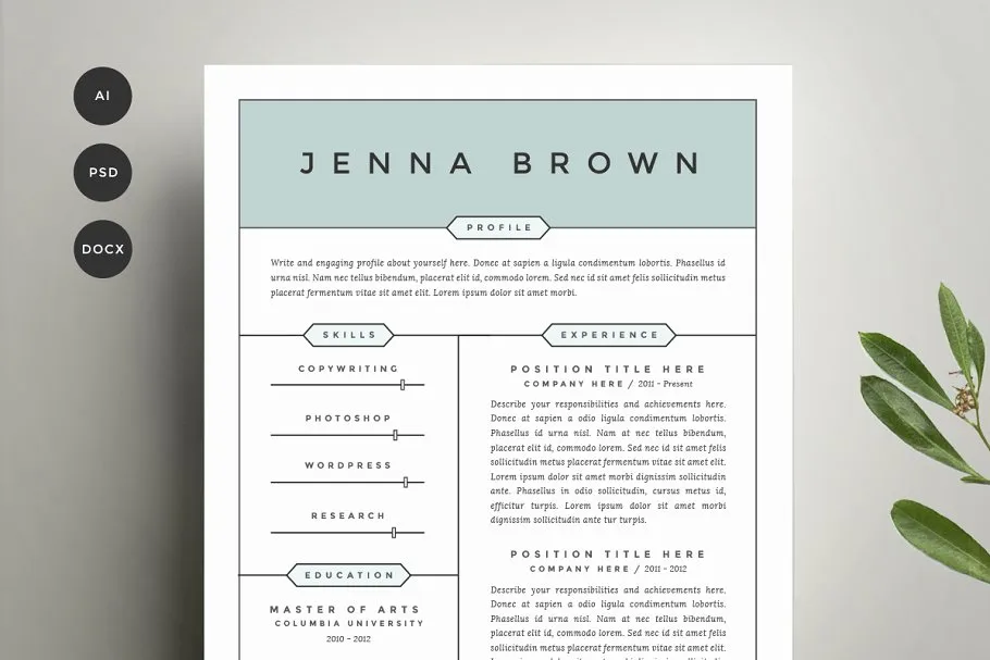 两列式经典简历模板 Resume Template 4 Pack | CV Template插图