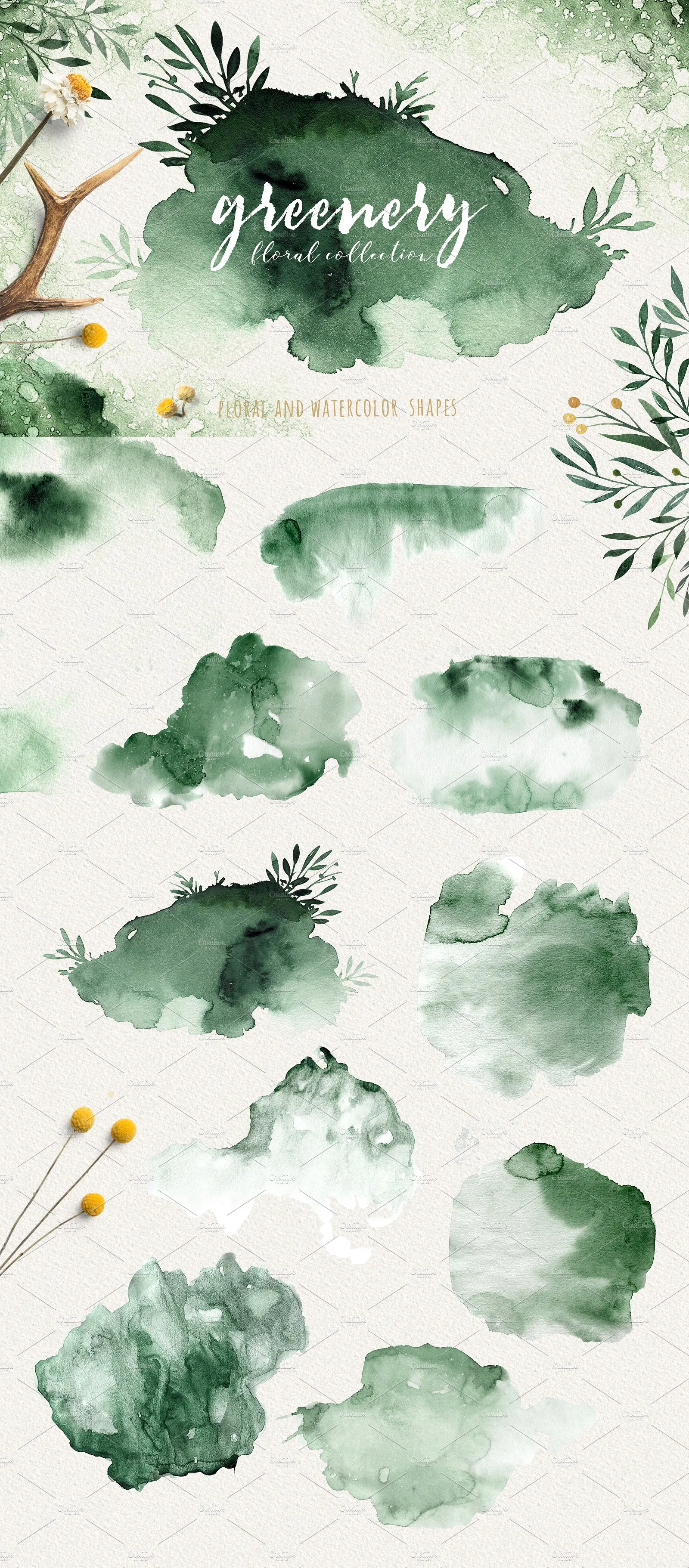 高品质手绘花卉树叶素材下载[psd,png,jpg]插图