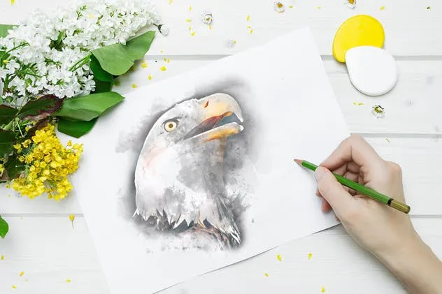 质朴的动物水彩手绘插图Vol.1 Rustic Watercolor Animals – Volume 1插图(4)