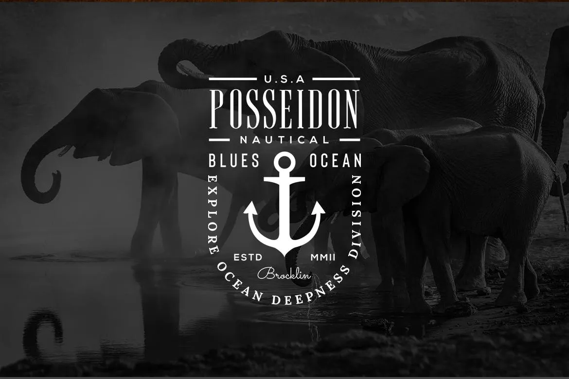 欧美复古设计风格品牌素材库精选LOGO商标模板v27 Vintage Logo & Badge Vol. 27插图(4)