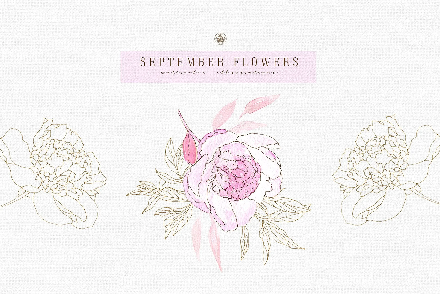 九月淡雅风水彩手绘花卉插画素材v2 September Flowers vol.2插图(2)