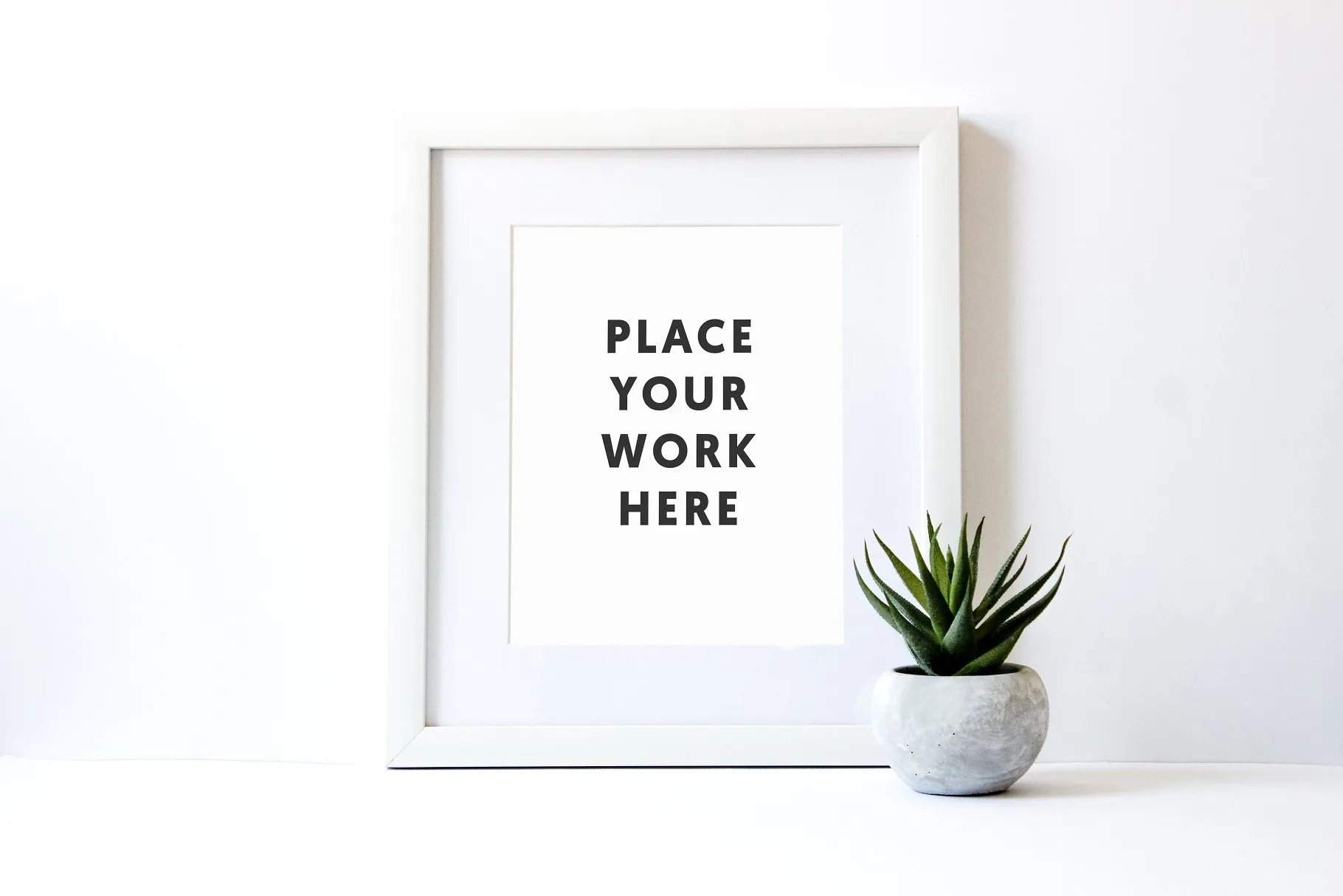 花式白框多肉值物场景样机 Styled White Frame with Succulent