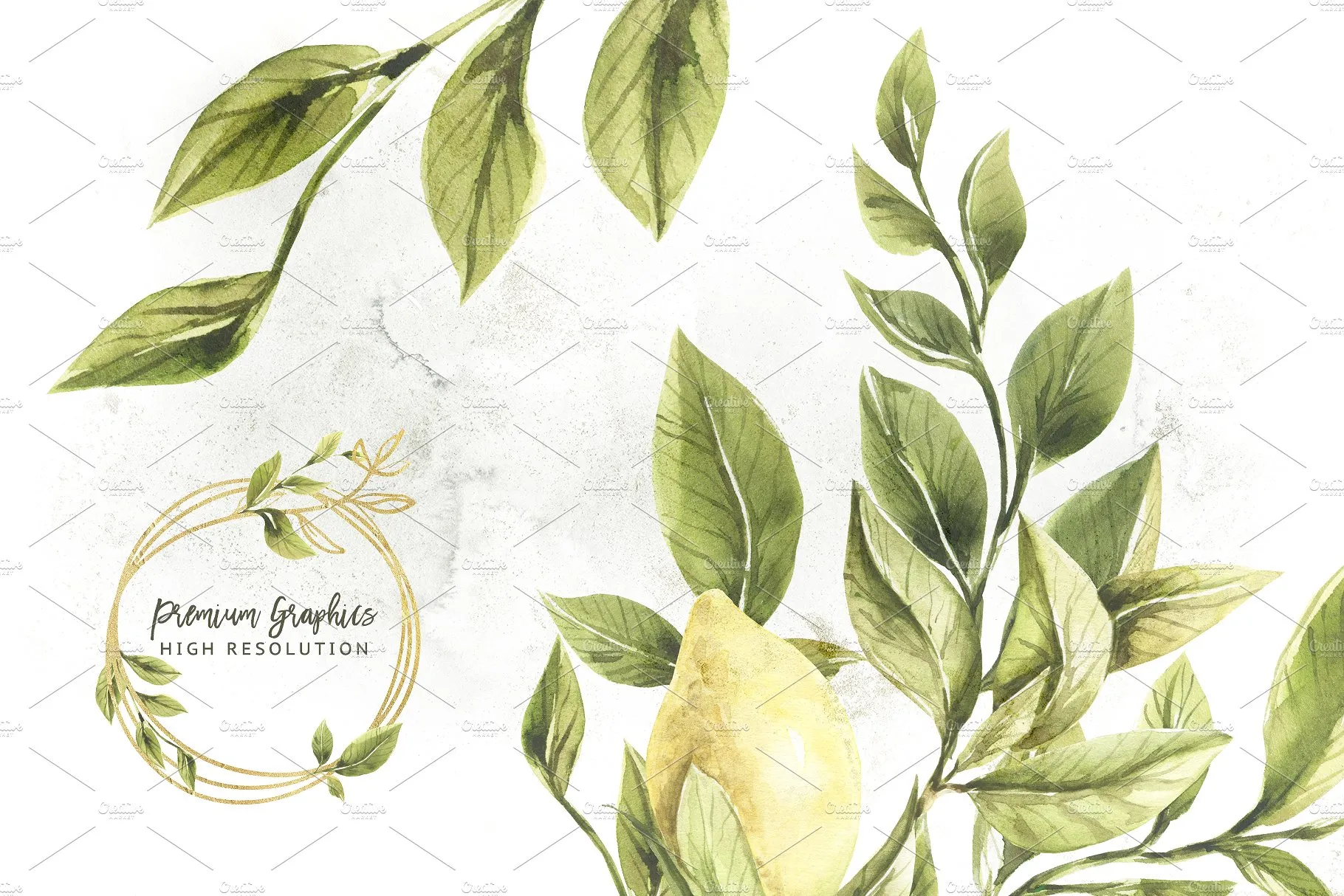 柠檬&绿色枝叶水彩插画 Lemons & Greens插图(6)