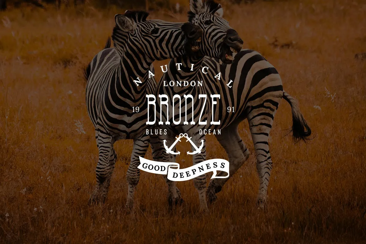 欧美复古设计风格品牌素材库精选LOGO商标模板v27 Vintage Logo & Badge Vol. 27插图(3)