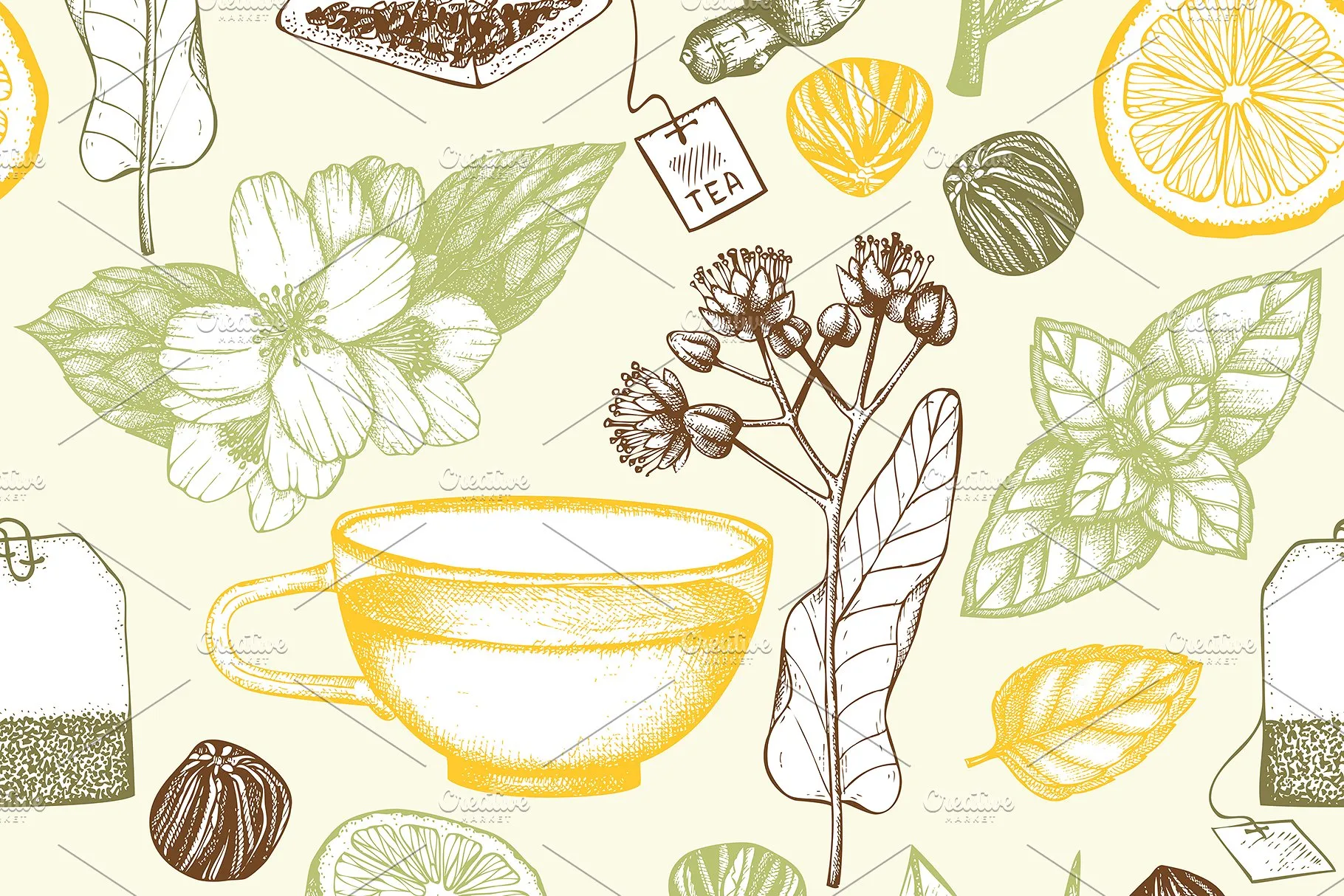 老式凉茶草药成分矢量插图合集 Vector Herbal Tea Ingredients Set插图(2)