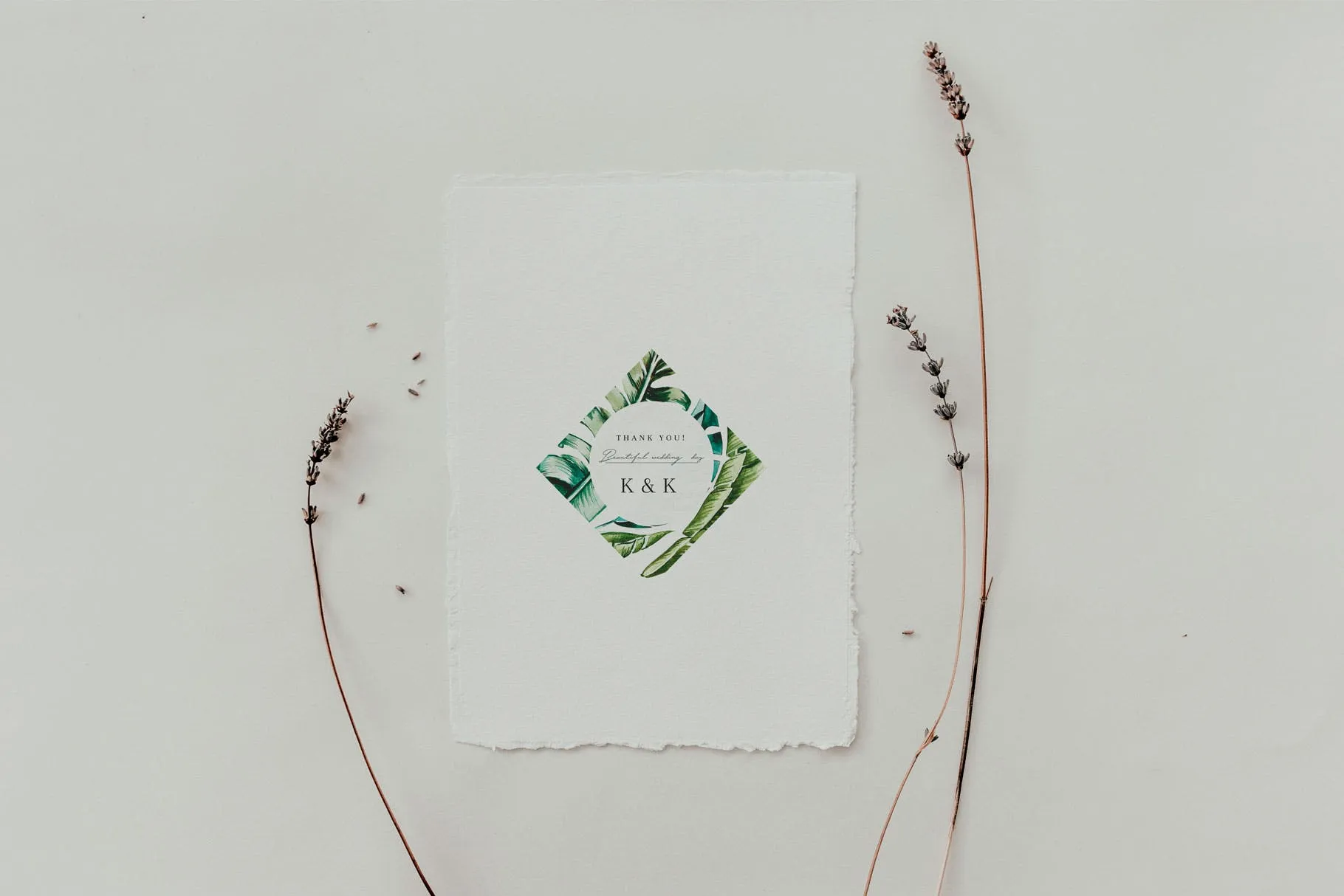 热带植物水彩手绘图案设计素材套装 Tropics & Coral Watercolor Set插图(1)