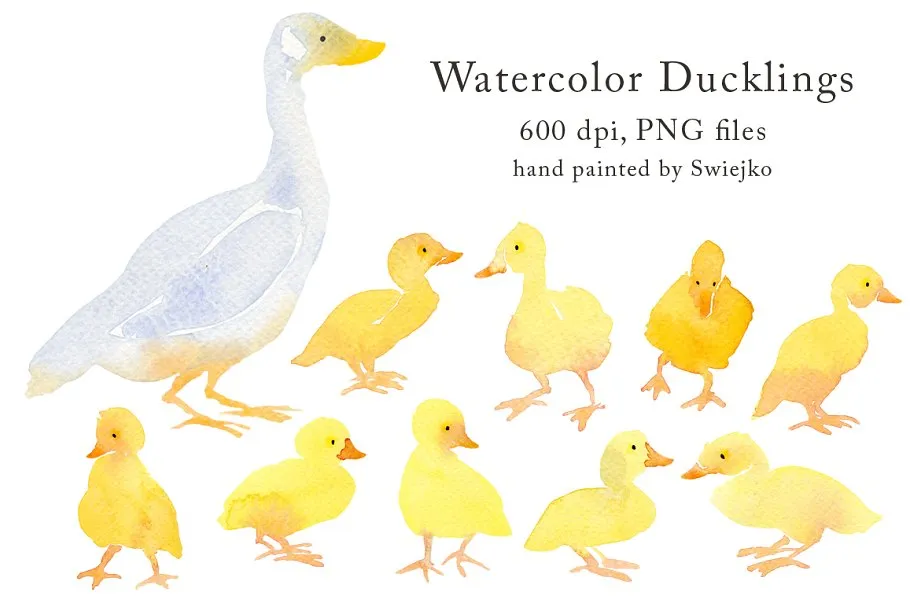 鸭子手绘水彩剪贴画 Country Clipart#8211; Ducklings