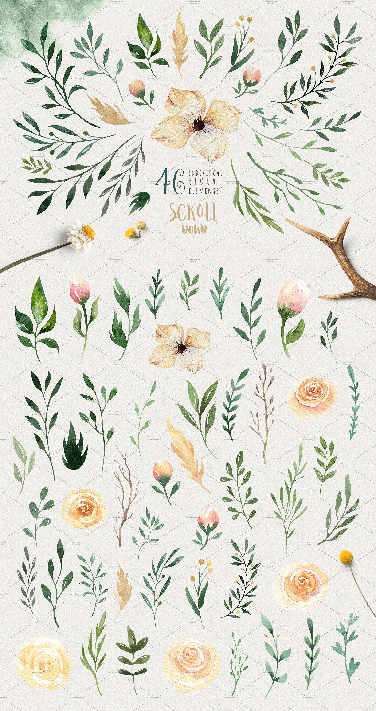 高品质手绘花卉树叶素材下载[psd,png,jpg]插图(6)