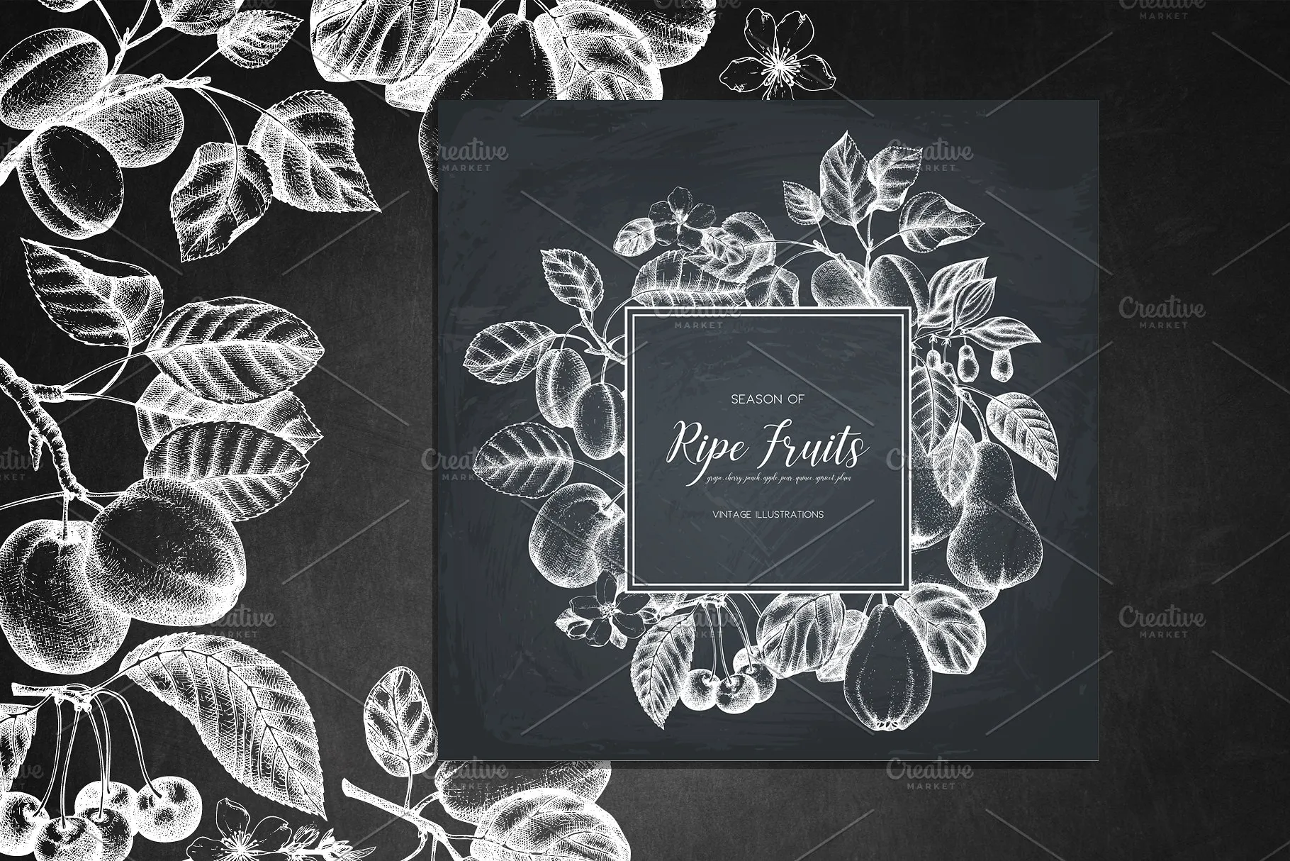 成熟水果矢量插图 Vector Ripe Fruits Illustrations插图(5)