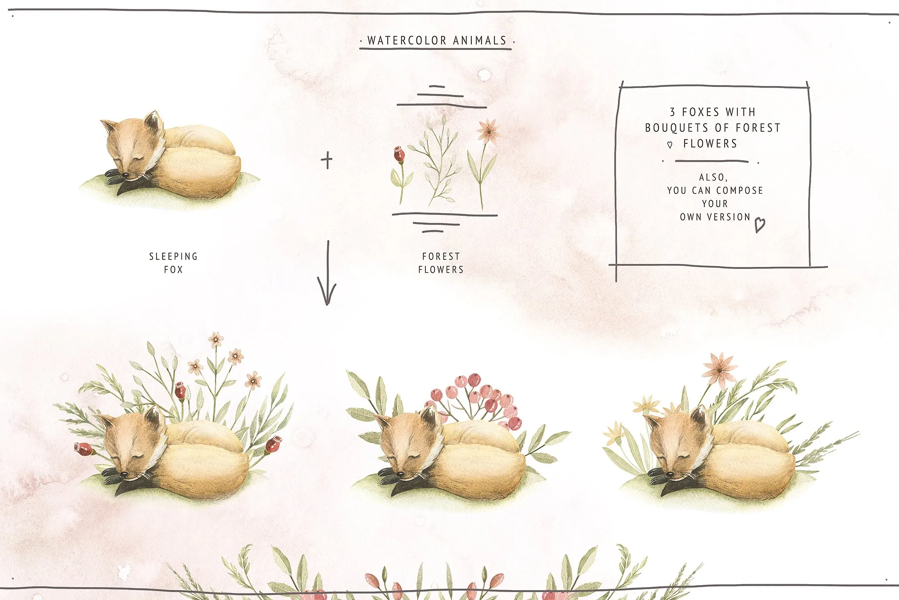 水彩森林动物宝贝水彩插画 Watercolor Forest Baby插图(3)