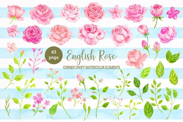 英国玫瑰水彩剪贴画素材 Watercolor Clipart English Rose插图(1)