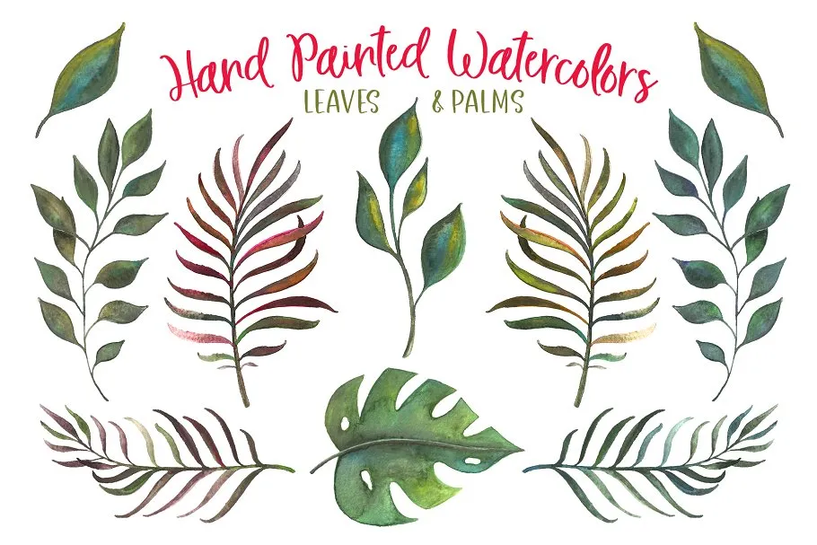 新挑选的水彩素材和字体工具包 Fresh Picked Watercolor & Font Kit插图(2)