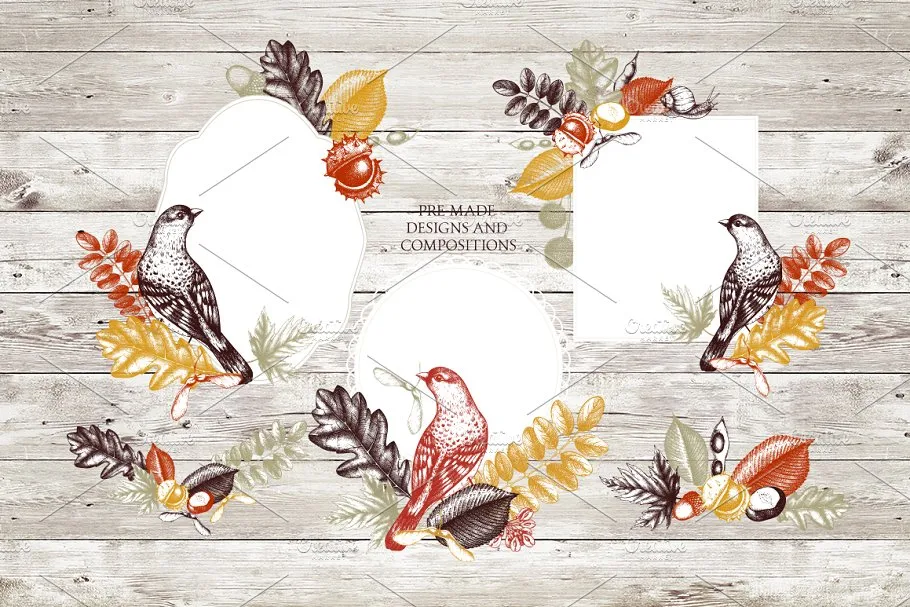 秋天树叶&种子矢量图形 Vector Autumn Leaves & Seeds Set插图(2)