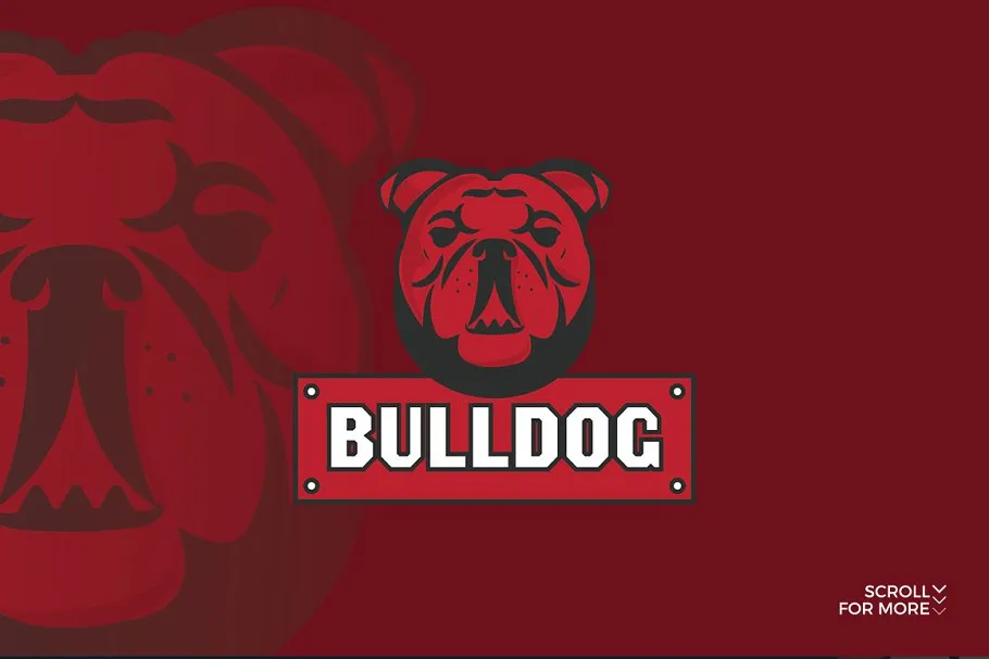 体育运动主题Logo模板合集 Sport Logo Bundle插图(10)