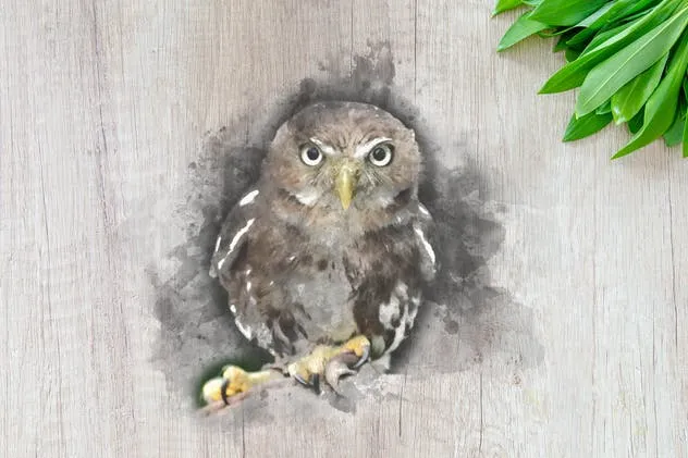 质朴的动物水彩手绘插图Vol.1 Rustic Watercolor Animals – Volume 1插图(7)