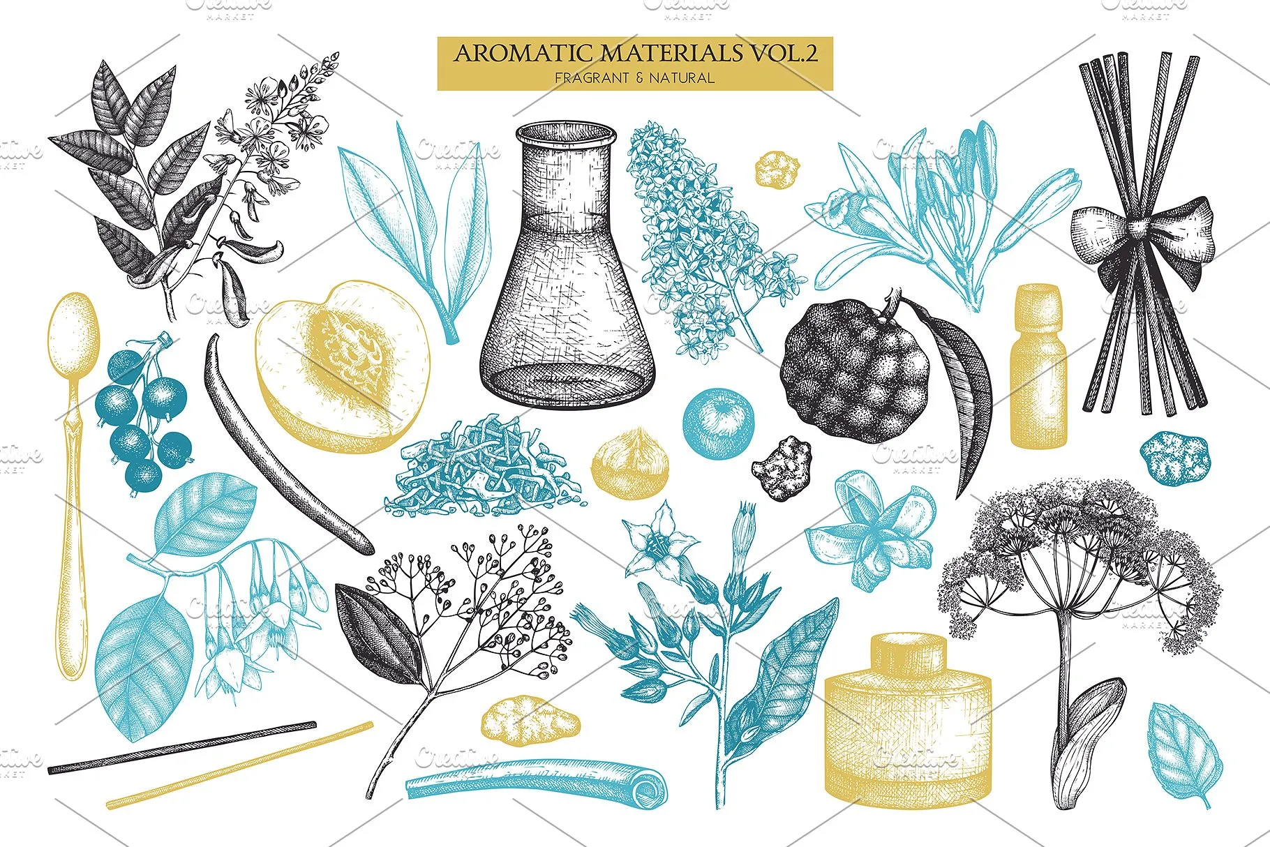 香料和化妆品成分水墨手绘插图集V.2 Perfumery & Cosmetic Ingredients v.2插图(1)