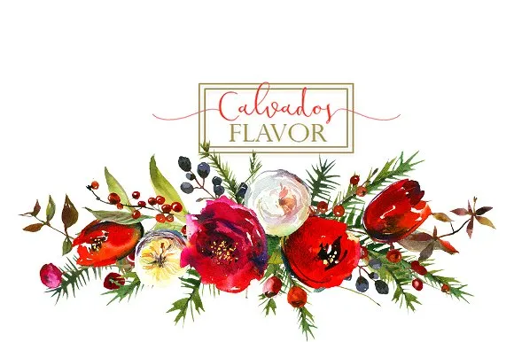 冬季红色水彩花卉剪贴画合集 Red Winter Flowers Clipart Set插图(9)