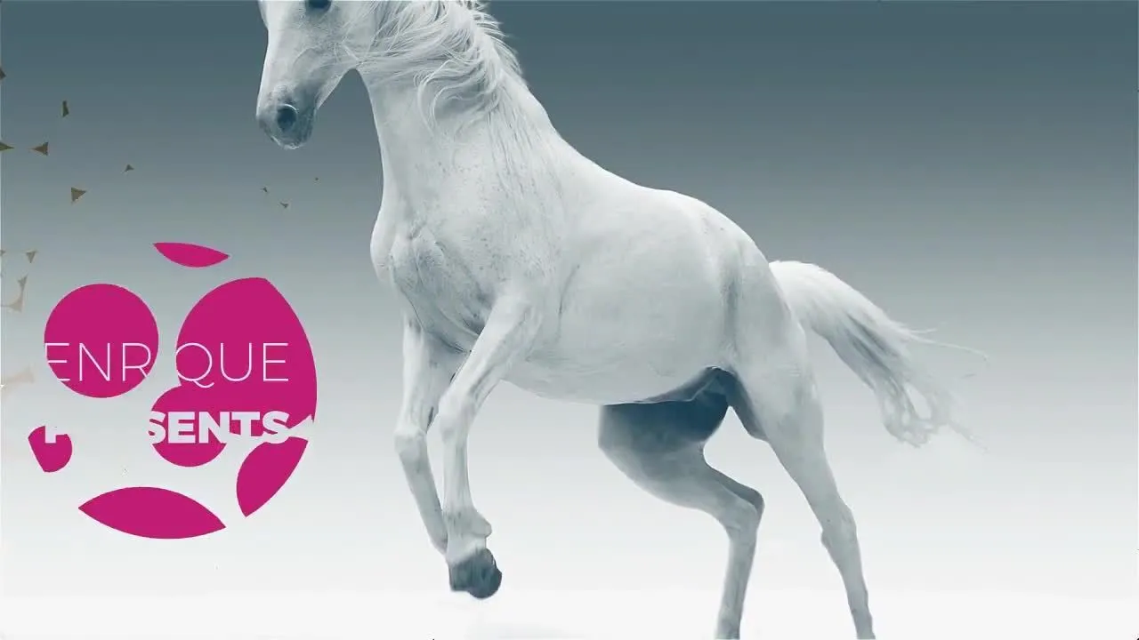 电影图案切片动画幻灯片像素设计精选AE模板