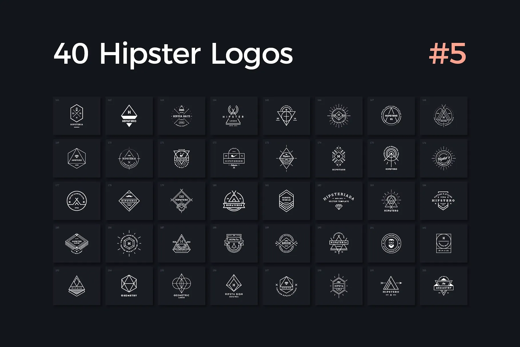 40个多用途时髦Logo模板V.5 40 Hipster Logos Vol. 5插图