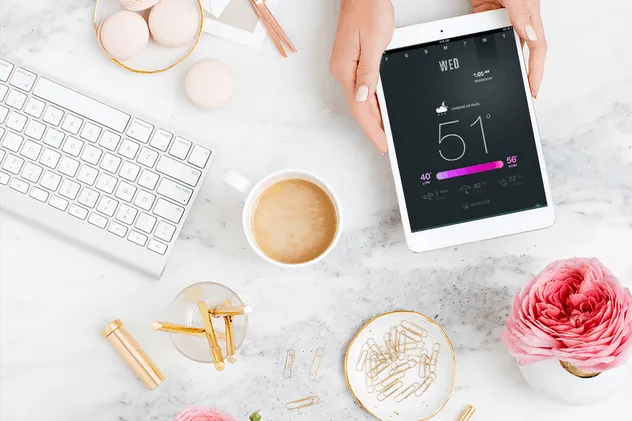 高品质时尚产品场景样机套装 Beaty & Styled Mockup Bundle + Bonus插图(8)