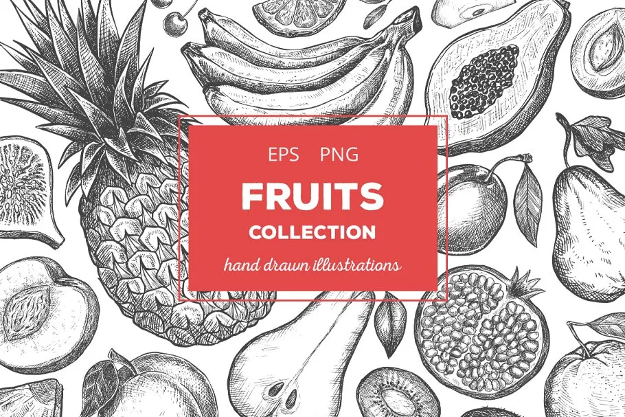 粗略风水果素描插图合集 Fruits Illustrations